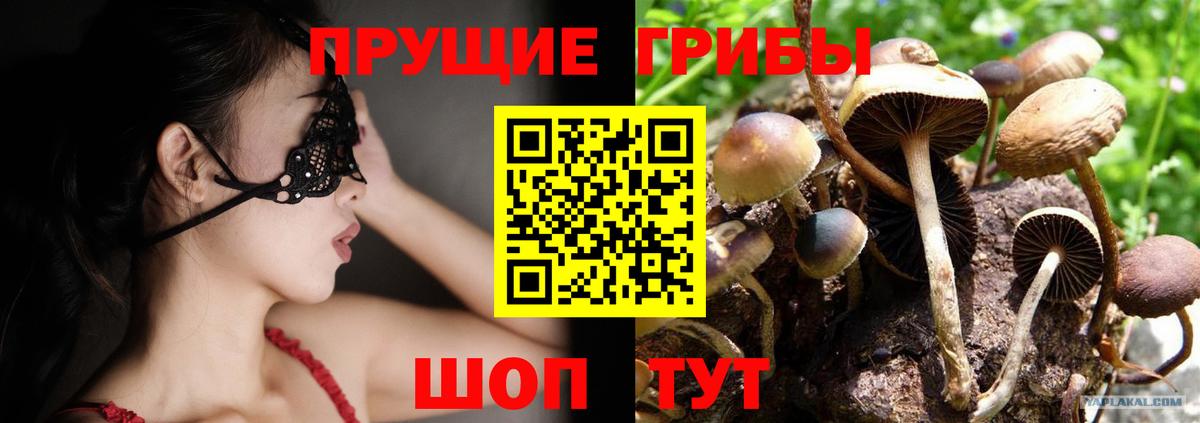 Псилоцибиновые грибы Psilocybe  Вход с VPN  Касимов 