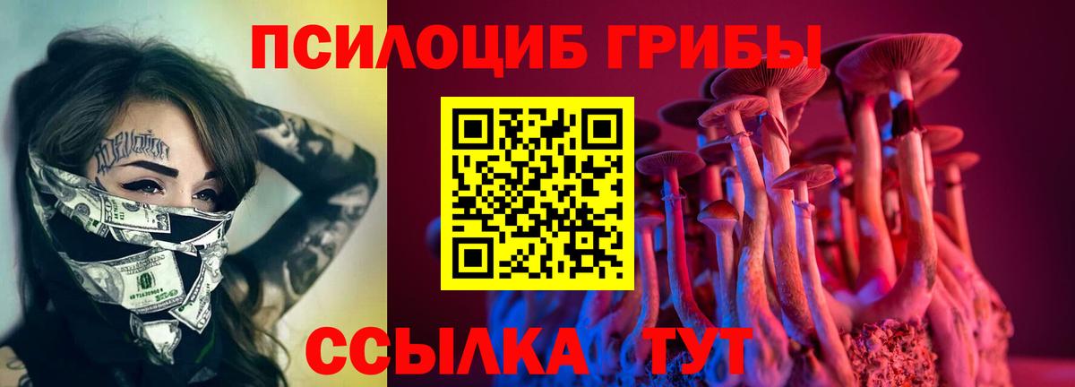 Псилоцибиновые грибы Psilocybine cubensis Касимов